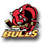 Bellevile Bulls