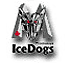 Mississauga IceDogs
