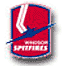 Windsor Spitfires