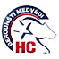 HC Berount&iacute; Medvedi 